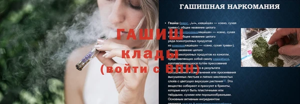 ПСИЛОЦИБИНОВЫЕ ГРИБЫ Заволжье