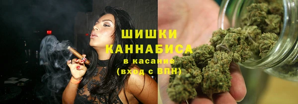 ПСИЛОЦИБИНОВЫЕ ГРИБЫ Заволжье