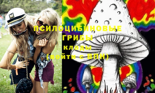 ПСИЛОЦИБИНОВЫЕ ГРИБЫ Заволжье