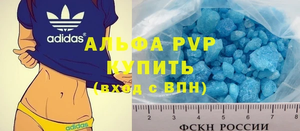 ПСИЛОЦИБИНОВЫЕ ГРИБЫ Заволжье